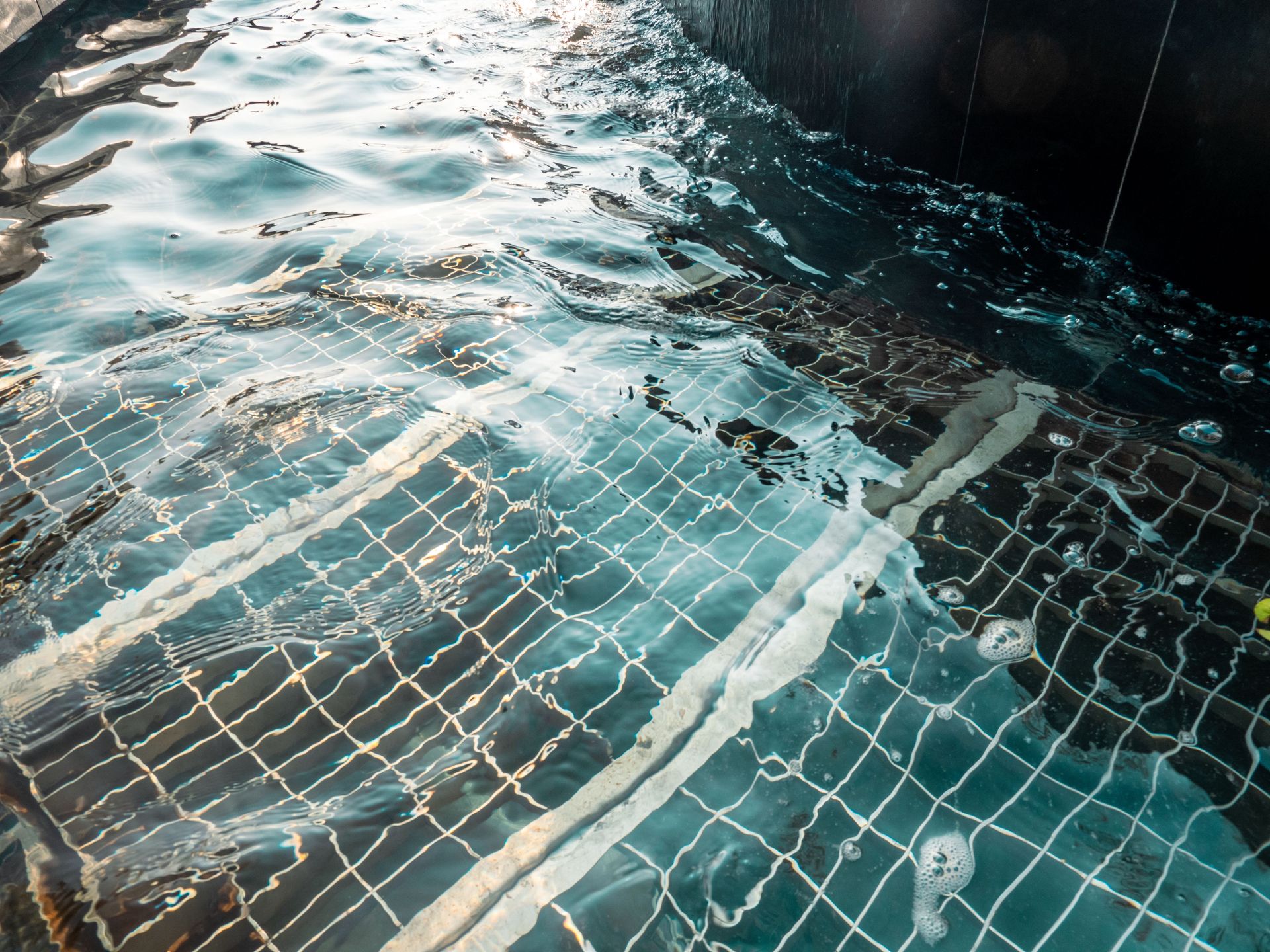Peaceful reflections on a clear swimming pool surface, showcasing underwater tile patterns and gentle ripples.